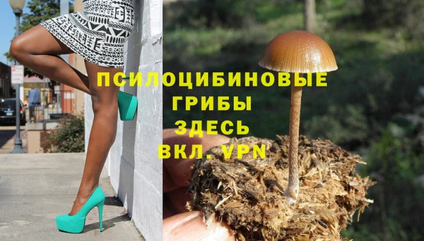 дурь Абинск