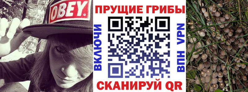 Галлюциногенные грибы MAGIC MUSHROOMS Сим